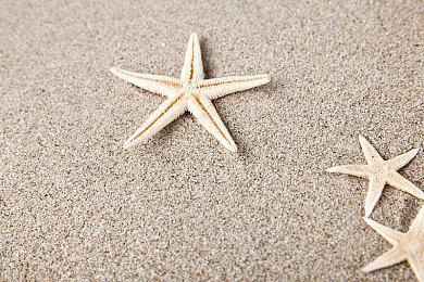 《星露谷物语》1.6版本更新上线 Steam在线玩家创新纪录突破14万